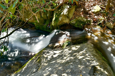 Stream flowing through rocks in forest