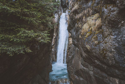 Scenic view of waterfall in forest