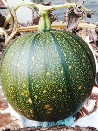 Close-up of pumpkin