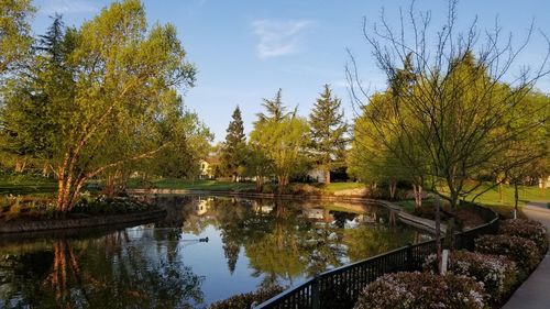 Scenic view of lake by trees against sky during autumn