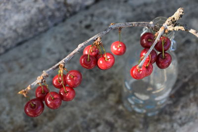 Close-up of cherries in water