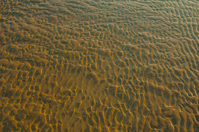 Full frame shot of sea shore