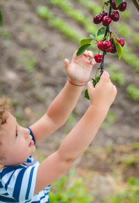 Portrait of cute girl holding plant