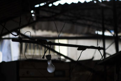 Close-up of illuminated lighting equipment on tree