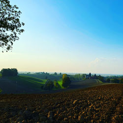 Scenic view of field against clear sky
