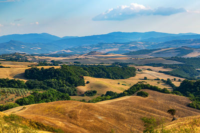 Scenic view of agricultural field against sky