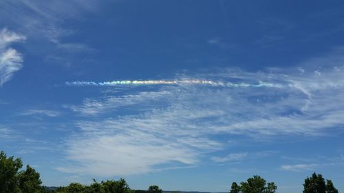 Low angle view of trees against blue sky