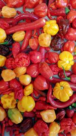 Full frame shot of multi colored fruits