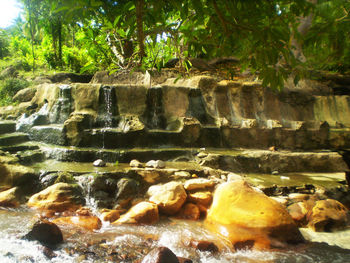 Rocks by sea against trees in forest