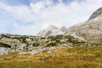 Schönfeldspitze mountain at steinernes meer, mountain landscape in bavaria, germany in autumn