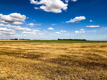 Scenic view of agricultural field against blue sky