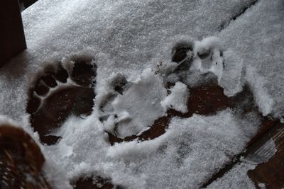High angle view of snow covered ice
