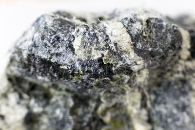 Close-up of lichen on rock