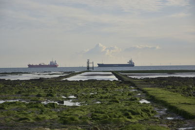 Scenic view of beach against sky