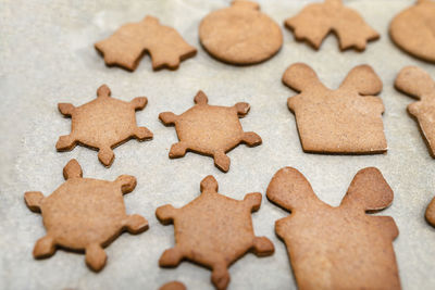 Baked gingerbread cookies in various shapes without decorations, lying on baking paper.