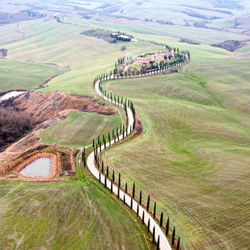 High angle view of agricultural field