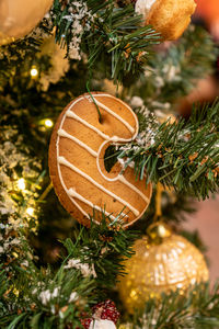 Close up of gingerbread toy letter c as a christmas tree decoration hanging on a fir branch. symbol