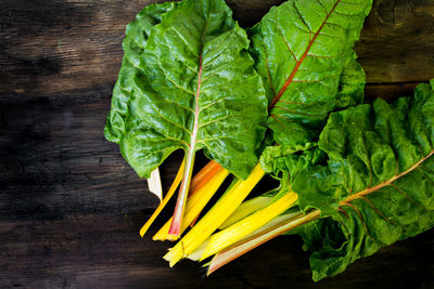 High angle view of chopped leaf on table