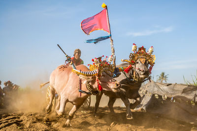 Rear view of man riding horse