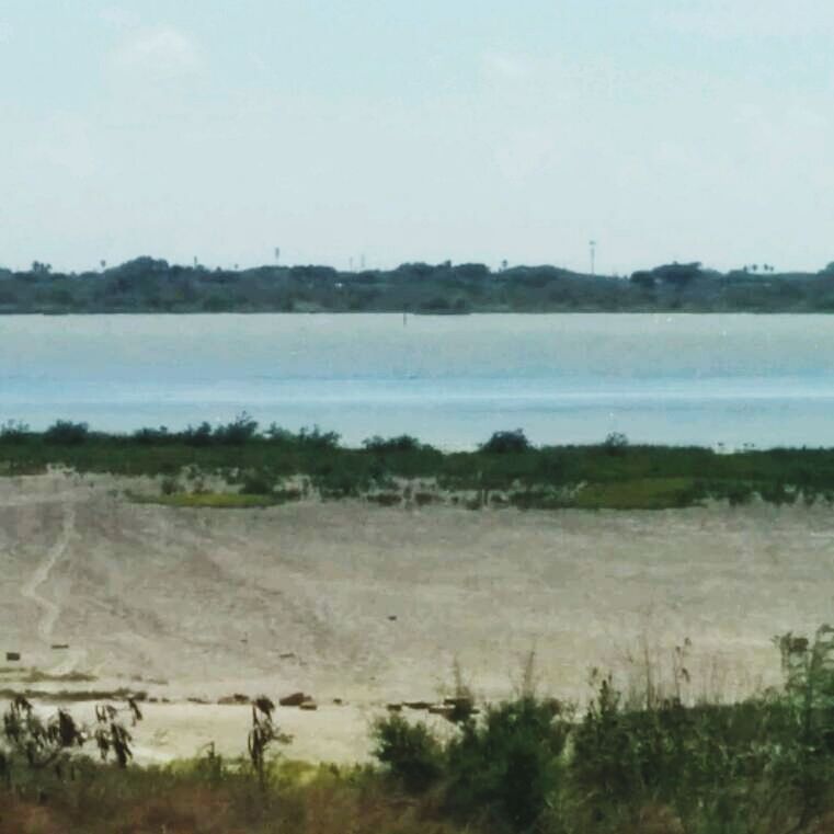 Texas A&M Corpus Christi