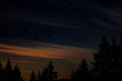 Scenic view of landscape against sky at night