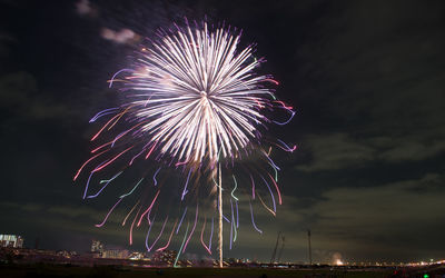 Low angle view of firework display at night