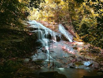 Waterfall in forest