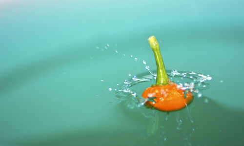 Close-up of splashing water