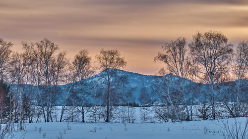 Snow covered landscape against sky during winter