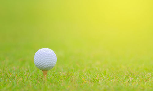 Close-up of golf ball on grass