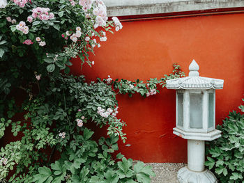 Flowering plants on building wall