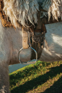 Typical horse saddle made of sheep wool and steel stirrup in a ranch near cambara do sul. brazil.