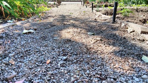 Close-up of stones