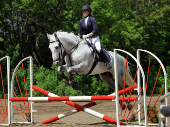 Side view of woman riding horse against tree