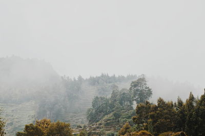 Scenic view of trees and mountains against sky