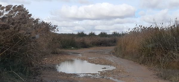 Panoramic view of river amidst field against sky