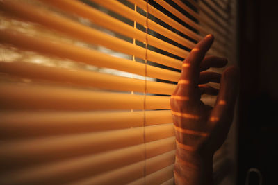 Close-up of hand against window