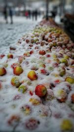 Close-up view of leaves