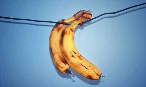 Low angle view of banana against blue background