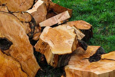 Stack of logs in forest