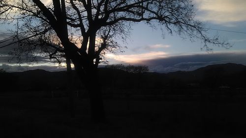 Silhouette of trees against cloudy sky