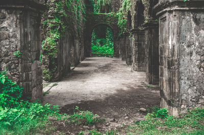 Empty road amidst trees in old building