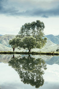 Reflection of trees in lake against sky