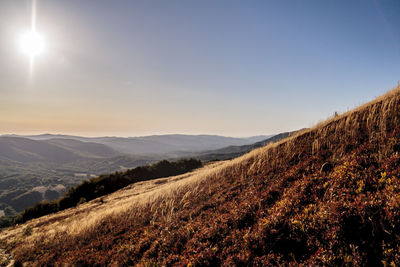 Scenic view of field against clear sky