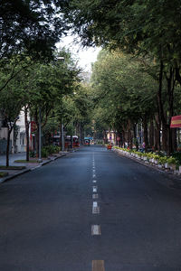 Road amidst trees in city