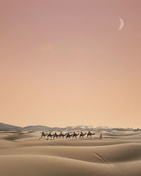 Scenic view of desert against sky during sunset