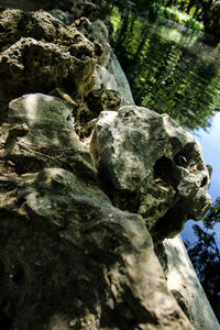 Low angle view of statue on moss