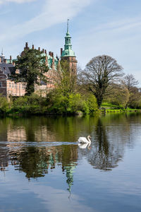 View of birds in lake