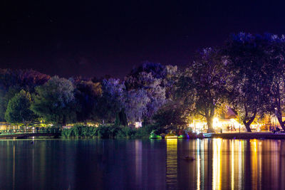 Illuminated trees by lake against sky at night