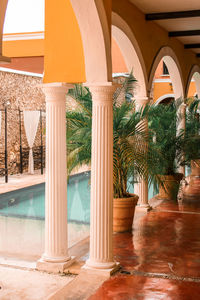 Classical columns with swimming pool and palm trees in the background